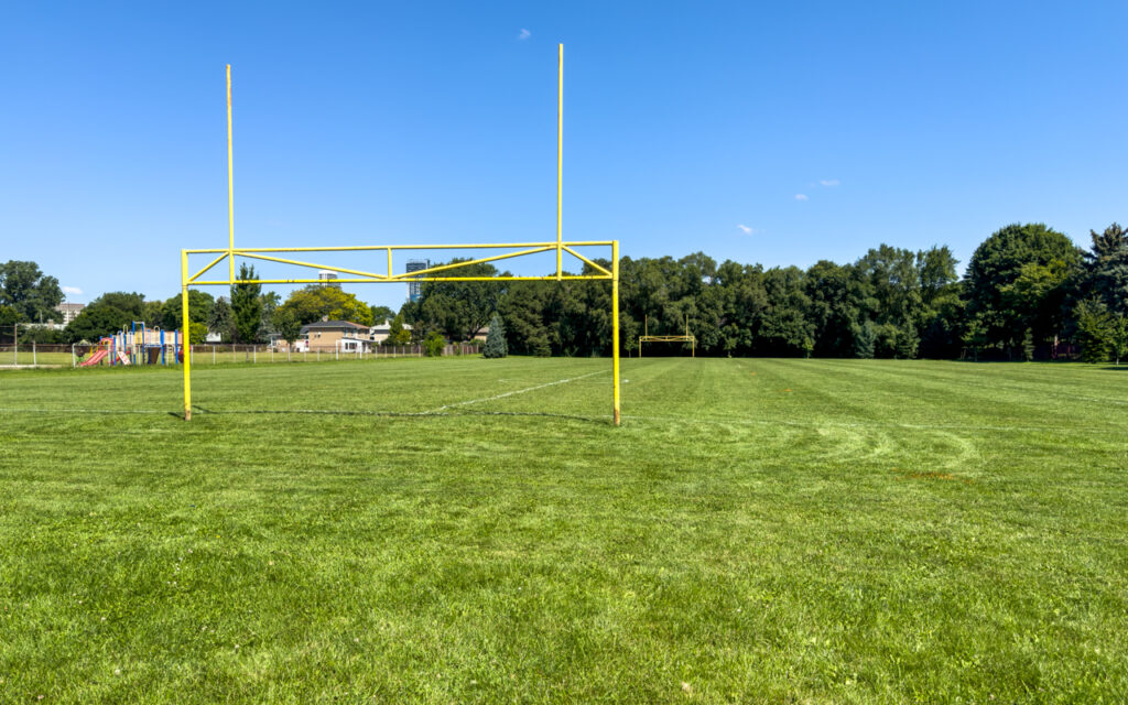 Sport field at the Roywood Park
